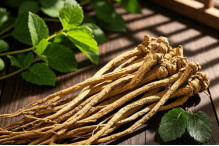 comprar Extracto de ANGELICA SINENSIS Natural Multifuntcional para o Cuidado da Pele Fabricação em linha
