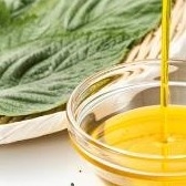 Olej eteryczny Perilla Surowiec Kosmetyk Perilla Ocymoides Liquid Leaf Extract